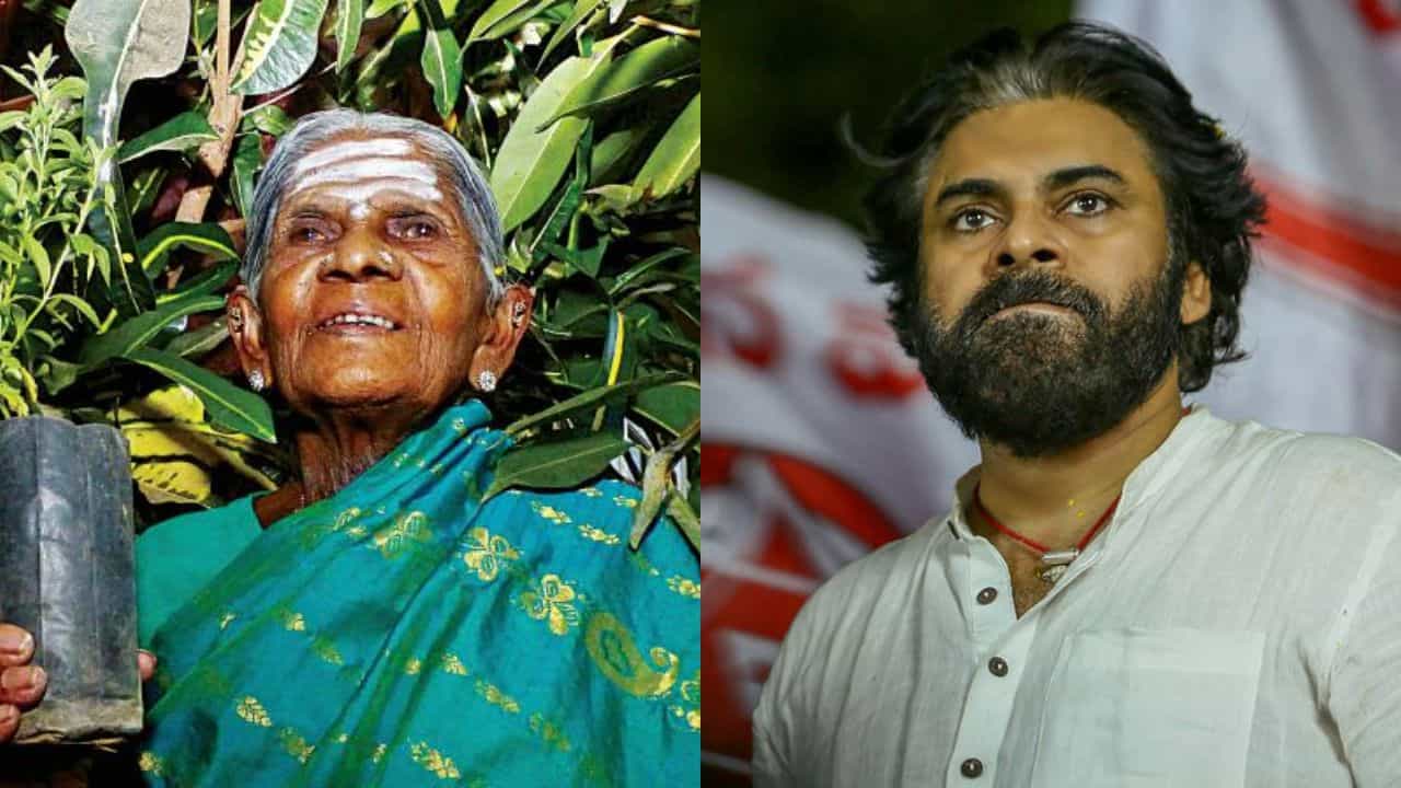 ಸಾಲು ಮರದ ತಿಮ್ಮಕ್ಕನಿಗೆ ವಿದಾಯ ಪತ್ರ ಬರೆದ ಆಂಧ್ರ ಡಿಸಿಎಂ ಪವನ್ ಕಲ್ಯಾಣ್ ಸಾಲು ಮರದ ತಿಮ್ಮಕ್ಕನಿಗೆ ವಿದಾಯ ಪತ್ರ ಬರೆದ ಆಂಧ್ರ ಡಿಸಿಎಂ ಪವನ್ ಕಲ್ಯಾಣ್