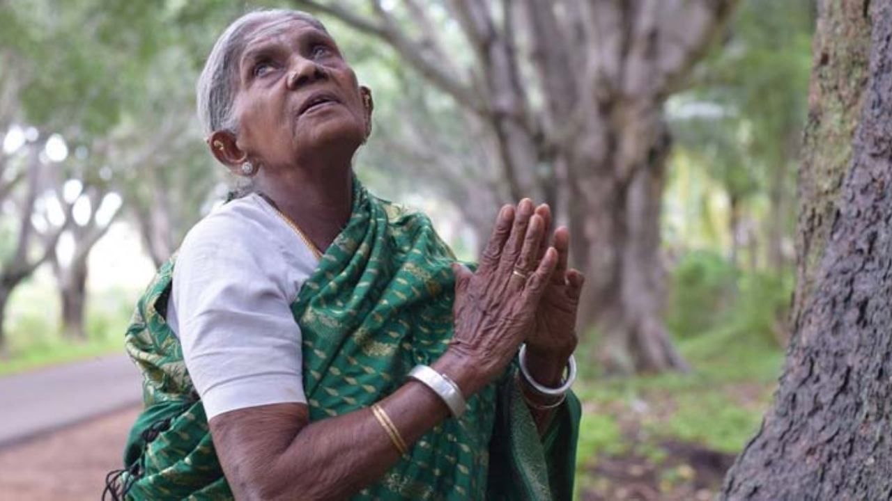 ಪರಿಸರ ಸಂರಕ್ಷಣೆಯ ಕುರಿತು ಜಾಗೃತಿ ಮೂಡಿಸಲು ಕರ್ನಾಟಕ ಸರ್ಕಾರವು ಸಾಲುಮರದ ತಿಮ್ಮಕ್ಕ ಅವರನ್ನು 'ಪರಿಸರ ರಾಯಭಾರಿ'ಯಾಗಿ ನೇಮಿಸಿದೆ ಮತ್ತು ಅವರಿಗೆ ಕ್ಯಾಬಿನೆಟ್ ದರ್ಜೆಯ ಸ್ಥಾನಮಾನವನ್ನೂ ನೀಡಿದೆ. ಇದು ಅವರ ಪರಿಸರ ಕಾಳಜಿ ಮತ್ತು ಸಮಾಜದ ಮೇಲಿನ ಪ್ರಭಾವಕ್ಕೆ ಸಾಕ್ಷಿಯಾಗಿದೆ. ಅವರ ಹೆಸರಿನಲ್ಲಿ ರಾಜ್ಯದಾದ್ಯಂತ ಉದ್ಯಾನವನಗಳನ್ನು ಸಹ ಅಭಿವೃದ್ಧಿಪಡಿಸಲಾಗಿದೆ.
