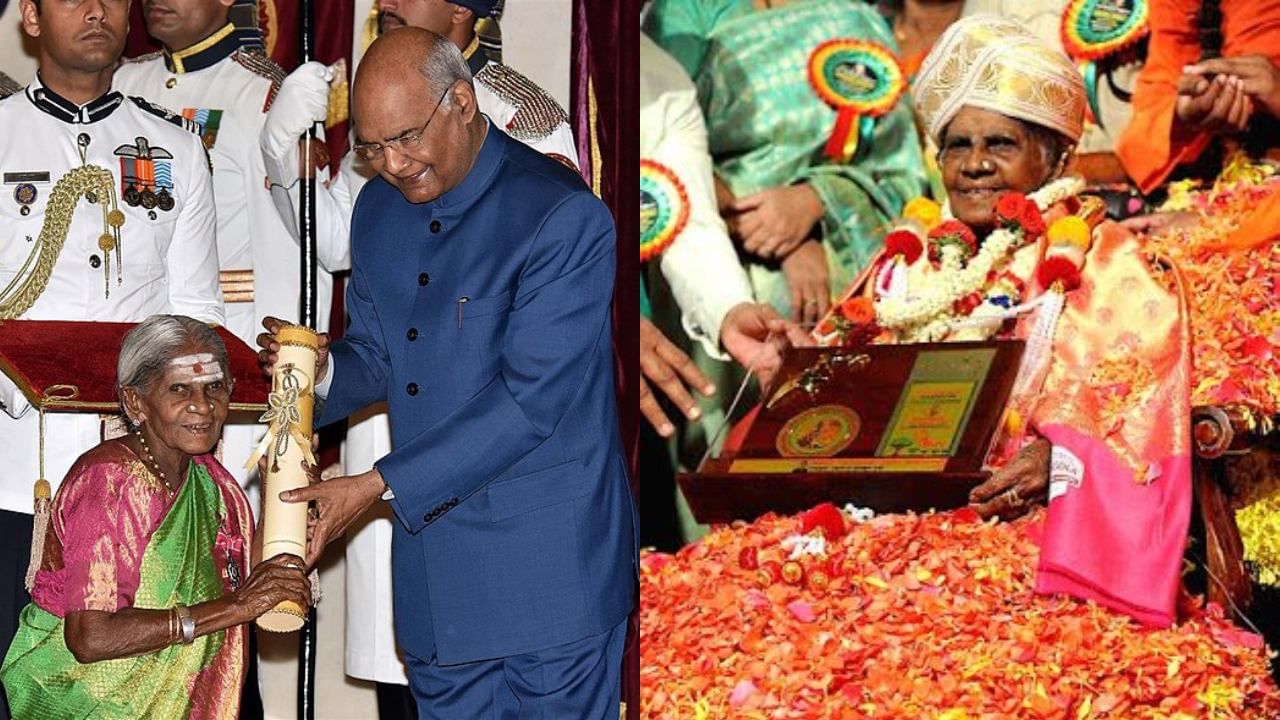 ಸಾಲುಮರದ ತಿಮ್ಮಕ್ಕನವರ ಈ ಮಹಾನ್ ಕಾರ್ಯಕ್ಕೆ ರಾಷ್ಟ್ರೀಯ ಮತ್ತು ಅಂತಾರಾಷ್ಟ್ರೀಯ ಮಟ್ಟದಲ್ಲಿ ಮನ್ನಣೆ ಸಿಕ್ಕಿದೆ. 2019 ರಲ್ಲಿ ಭಾರತದ ನಾಲ್ಕನೇ ಅತ್ಯುನ್ನತ ನಾಗರಿಕ ಪ್ರಶಸ್ತಿಯಾದ ಪದ್ಮಶ್ರೀ ಪ್ರಶಸ್ತಿಯನ್ನು ನೀಡಿ ಗೌರವಿಸಲಾಗಿದೆ. ಅಲ್ಲದೆ, 1996ರ ರಾಷ್ಟ್ರೀಯ ನಾಗರಿಕ ಪ್ರಶಸ್ತಿ, 2006ರ ಗಾಡ್ಫ್ರೇ ಫಿಲಿಪ್ಸ್ ಪ್ರಶಸ್ತಿ ಸೇರಿದಂತೆ ಹಲವಾರು ಪ್ರಶಸ್ತಿಗಳು ಮತ್ತು ಗೌರವಗಳು ಲಭಿಸಿವೆ.
