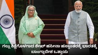 ದೆಹಲಿ ಸ್ಫೋಟ ಪ್ರಕರಣ; ಶ್ರೀನಗರದಲ್ಲಿ ಮತ್ತೋರ್ವ ಆರೋಪಿಯ ಬಂಧನ