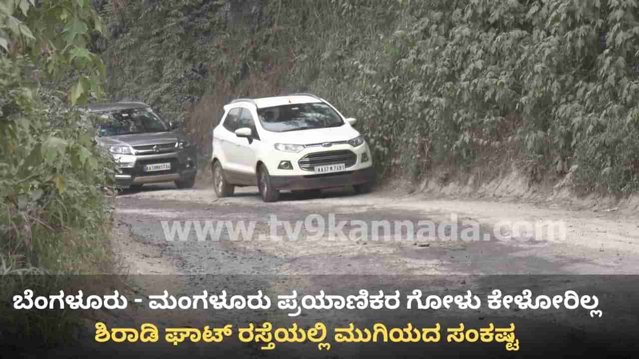 ಶಿರಾಡಿ ರಸ್ತೆಯಲ್ಲಿ ಮುಗಿಯದ ಸಂಕಷ್ಟ: 8 ವರ್ಷಗಳಾದರೂ ಮುಗಿಯದ 45 ಕಿಮೀ ಕಾಮಗಾರಿ!