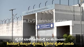 ಬಾಳೆಗೊನೆಯಲ್ಲಿ, ಸಿಬ್ಬಂದಿ ಒಳ ಉಡುಪಿನಲ್ಲಿ ಜೈಲಿಗೆ ಬಂತು ಗಾಂಜಾ! ಪರಪ್ಪನ ಅಗ್ರಹಾರ ಬಳಿಕ ಶಿವಮೊಗ್ಗದಲ್ಲಿ ಕೈದಿಗಳ ಹೈಟೆಕ್ ಬದುಕು ಬಯಲು