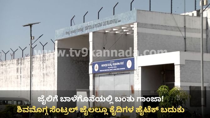ಬಾಳೆಗೊನೆಯಲ್ಲಿ, ಸಿಬ್ಬಂದಿ ಒಳ ಉಡುಪಿನಲ್ಲಿ ಜೈಲಿಗೆ ಬಂತು ಗಾಂಜಾ!