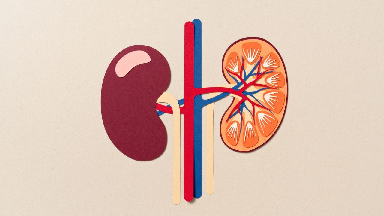 ಒಂದು ಕಿಡ್ನಿ ಇರುವ ಮಗು ಆರೋಗ್ಯವಾಗಿರಲು ಸಾಧ್ಯವೇ? ಪೋಷಕರೇ ಈ ವಿಷಯ ನೆನಪಿಟ್ಟುಕೊಳ್ಳಿ