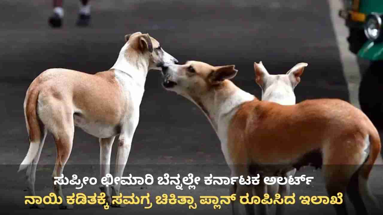 ಸುಪ್ರೀಂ ಛೀಮಾರಿ ಬೆನ್ನಲ್ಲೇ ಕರ್ನಾಟಕ ಅಲರ್ಟ್: ನಾಯಿ ಕಡಿತಕ್ಕೆ ಸಮಗ್ರ ಚಿಕಿತ್ಸಾ ಪ್ಲಾನ್ ರೂಪಿಸಿದ ಇಲಾಖೆ