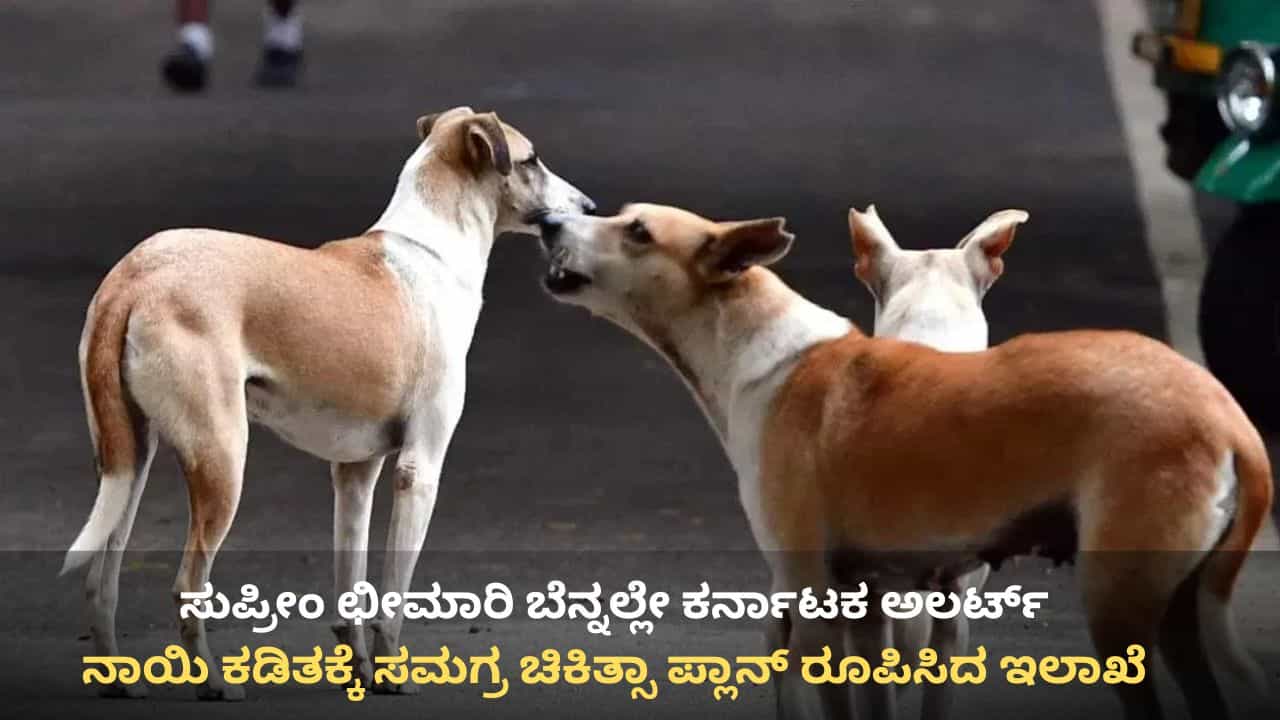 ಸುಪ್ರೀಂ ಛೀಮಾರಿ ಬೆನ್ನಲ್ಲೇ ಕರ್ನಾಟಕ ಅಲರ್ಟ್: ನಾಯಿ ಕಡಿತಕ್ಕೆ ಸಮಗ್ರ ಚಿಕಿತ್ಸಾ ಪ್ಲಾನ್ ರೂಪಿಸಿದ ಇಲಾಖೆ ಸುಪ್ರೀಂ ಛೀಮಾರಿ ಬೆನ್ನಲ್ಲೇ ಕರ್ನಾಟಕ ಅಲರ್ಟ್: ನಾಯಿ ಕಡಿತಕ್ಕೆ ಸಮಗ್ರ ಚಿಕಿತ್ಸಾ ಪ್ಲಾನ್ ರೂಪಿಸಿದ ಇಲಾಖೆ