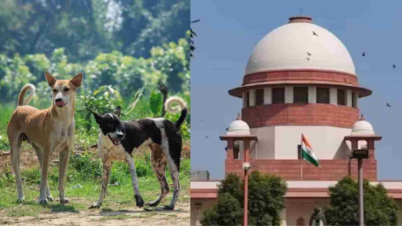 ಬೀದಿನಾಯಿ ನಿಯಂತ್ರಣಕ್ಕೆ ಏನೆಲ್ಲ ಕ್ರಮ?: ಸುಪ್ರೀಂಗೆ ವರದಿ ಸಲ್ಲಿಸಿದ ಕರ್ನಾಟಕ