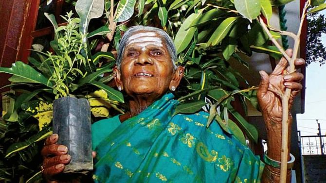 ಸಾಲುಮರದ ತಿಮ್ಮಕ್ಕ ಅಂತಿಮ ದರ್ಶನ: ಅಂತ್ಯಕ್ರಿಯದ್ದೇ ಗೊಂದಲ