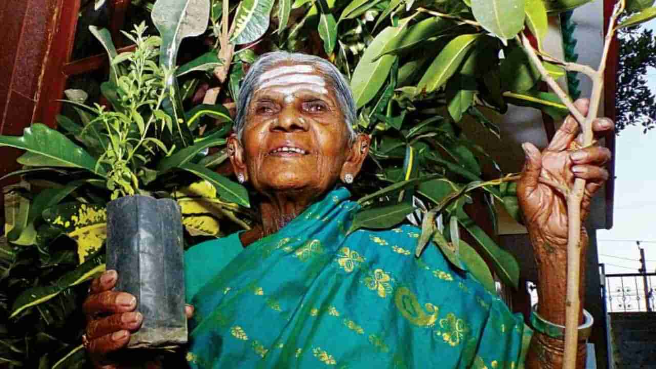 ಎರಡ್ಮೂರು ಜಿಲ್ಲೆಯಲ್ಲಿ ಸಾಲುಮರದ ತಿಮ್ಮಕ್ಕ ಅಂತಿಮ ದರ್ಶನ: ಅಂತ್ಯಕ್ರಿಯದ್ದೇ ಗೊಂದಲ