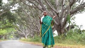 ಸಾಲುಮರದ ತಿಮ್ಮಕ್ಕ ನಿಧನ: ಮರೆಯಾದ ವೃಕ್ಷಮಾತೆ