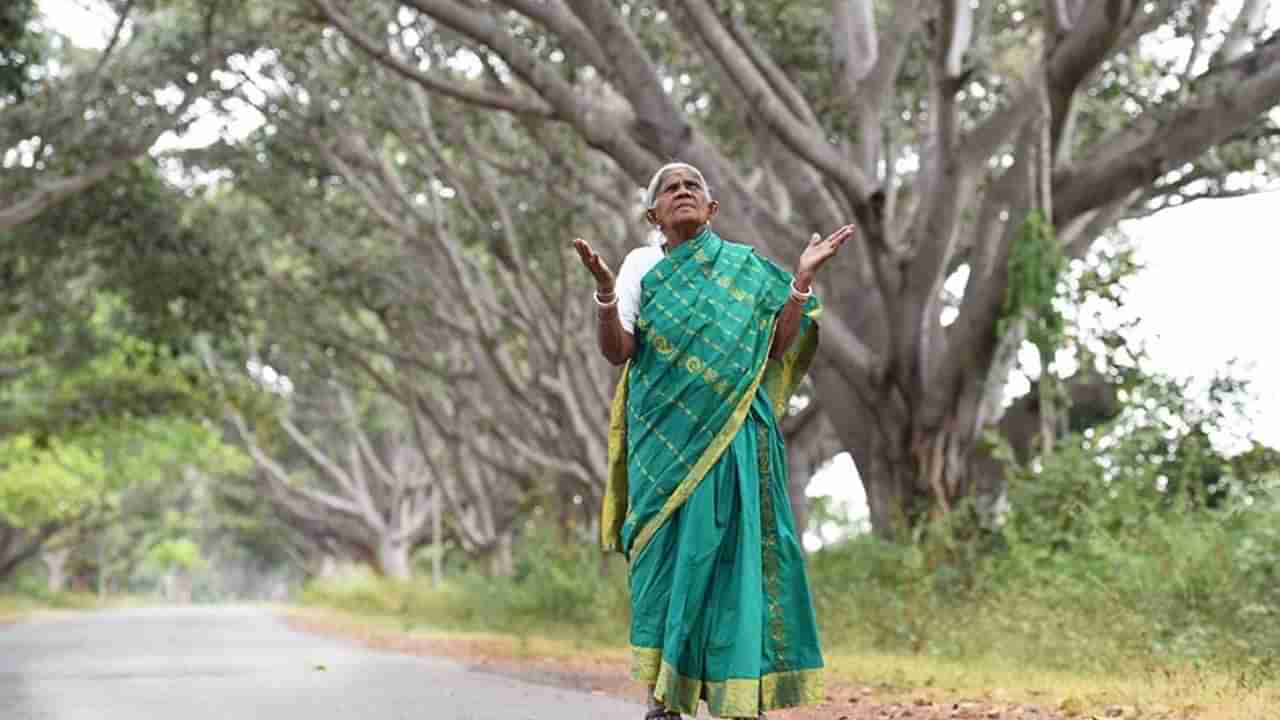Saalumarada Thimmakka Death: ಸಾಲುಮರದ ತಿಮ್ಮಕ್ಕ ನಿಧನ; ಮರೆಯಾದ ವೃಕ್ಷಮಾತೆ