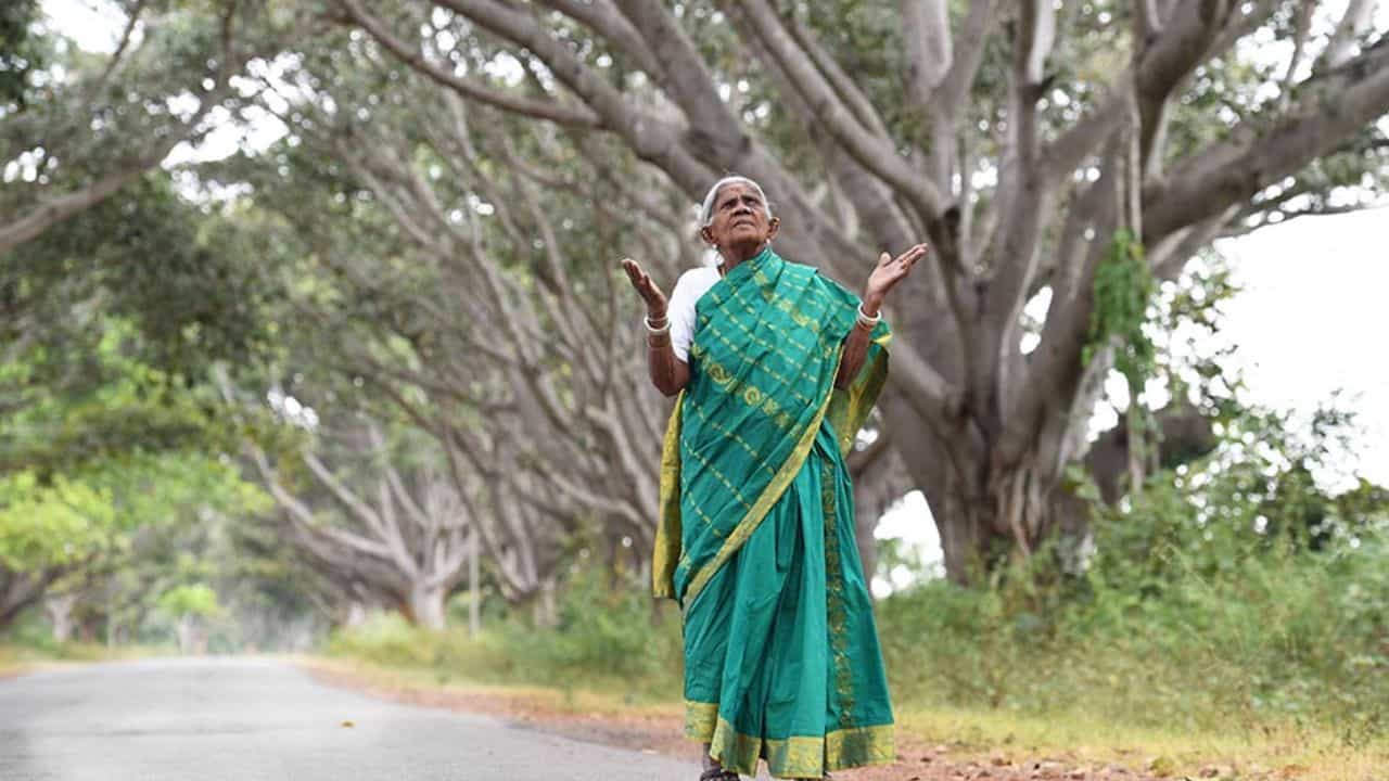 Saalumarada Thimmakka Death: ಸಾಲುಮರದ ತಿಮ್ಮಕ್ಕ ನಿಧನ; ಮರೆಯಾದ ವೃಕ್ಷಮಾತೆ Saalumarada Thimmakka Death: ಸಾಲುಮರದ ತಿಮ್ಮಕ್ಕ ನಿಧನ; ಮರೆಯಾದ ವೃಕ್ಷಮಾತೆ