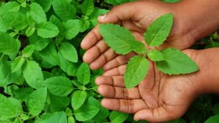 ಪಾತ್ರೆಗಳಿಂದ ಬರುವ ಕೆಟ್ಟ ವಾಸನೆಯನ್ನು ಹೋಗಲಾಡಿಸಲು ಅಡುಗೆ ಮನೆಯಲ್ಲಿ ಲಭ್ಯವಿರುವ ಈ ವಸ್ತುಗಳೇ ಸಾಕು