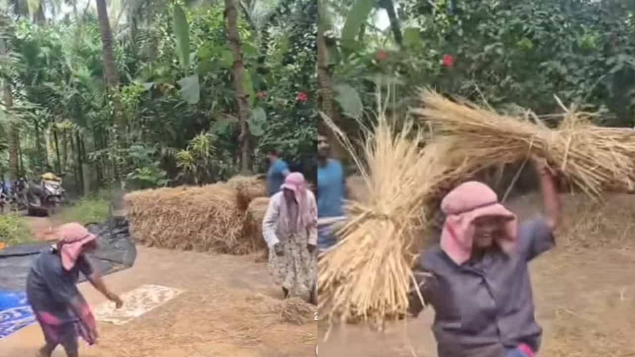 Video: ಕೃಷಿ ಅಂದ್ರೆ ಖುಷಿ; ನೃತ್ಯ ಮಾಡುತ್ತಾ ಕೆಲಸವನ್ನು ಆನಂದಿಸಿದ ಮಹಿಳೆ Video: ಕೃಷಿ ಅಂದ್ರೆ ಖುಷಿ; ನೃತ್ಯ ಮಾಡುತ್ತಾ ಕೆಲಸವನ್ನು ಆನಂದಿಸಿದ ಮಹಿಳೆ