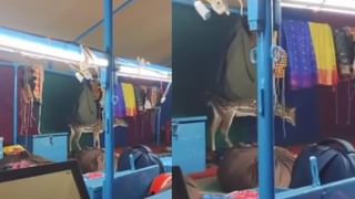 Video: ಮುದ್ದಾಗಿ ಸೊಳ್ಳೆ ಹಾಡು ಹಾಡುತ್ತಾ ಕೀಟವನ್ನು ಹೊಡೆದು ಸಾಯಿಸಿದ ಪುಟಾಣಿ