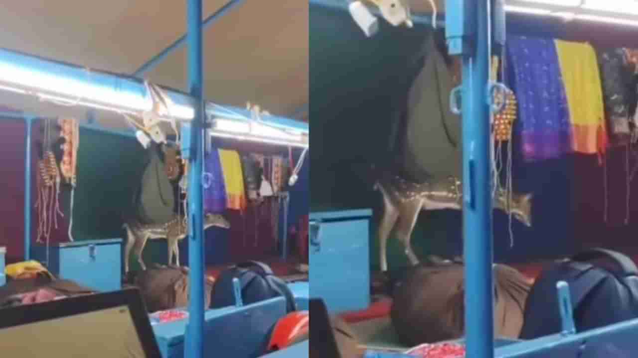 Video: ಯಕ್ಷಗಾನ ನೋಡಲು ಬಂದ ವಿಶೇಷ ಅತಿಥಿ; ಆ ಗೆಸ್ಟ್ ಯಾರೆಂದು ನೀವೇ ನೋಡಿ