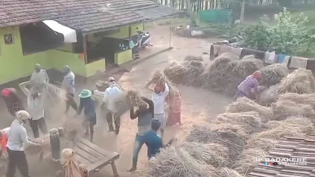 Video: ಕೃಷಿ ಕೆಲಸದಲ್ಲೇ ಈ ಜನರಿಗೆ ಖುಷಿ; ಇದು ಹಳ್ಳಿ ಬದುಕಿನ ಸುಂದರ ದೃಶ್ಯಕಾವ್ಯ