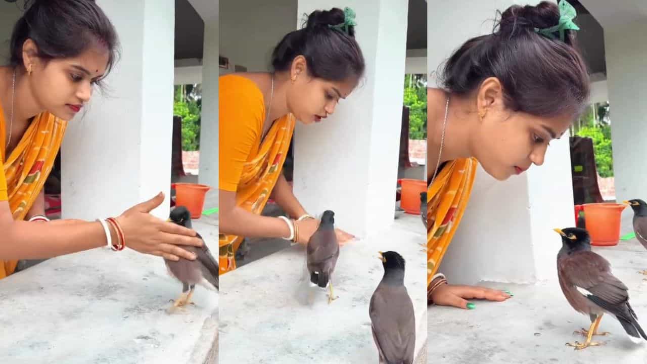 Video: ಕಾಳು ನೀಡಿ ಹಸಿವು ನೀಗಿಸಿದ ಮಹಿಳೆಯೊಂದಿಗೆ ಜಗಳಕ್ಕಿಳಿದ ಪಕ್ಷಿ