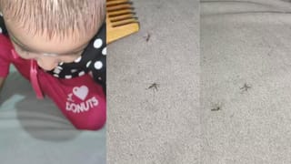 Video: ಯಕ್ಷಗಾನ ನೋಡಲು ಬಂದ ವಿಶೇಷ ಅತಿಥಿ; ಆ ಗೆಸ್ಟ್‌ ಯಾರೆಂದು ನೀವೇ ನೋಡಿ