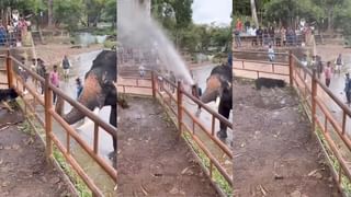 Video: ಜೀವನಕ್ಕಾಗಿ ಮೆಕ್ಯಾನಿಕ್ ಕೆಲಸ, ಪ್ರಾಣಿಗಳೇ ಈತನ ಪ್ರಪಂಚ; ಇದು ಕುದುರೆಮುಖದ ರೂಬನ್ ಜೀವನದ ಕಥೆ