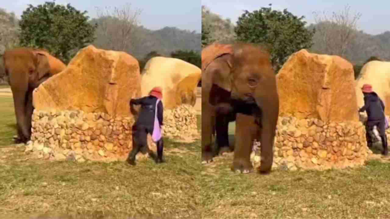 Video: ಮಾಲೀಕಳ ಜತೆಗೆ ಗಜರಾಜನ ಕಣ್ಣಾಮುಚ್ಚಾಲೆ ಆಟ, ವೈರಲ್ ಆಯ್ತು ದೃಶ್ಯ