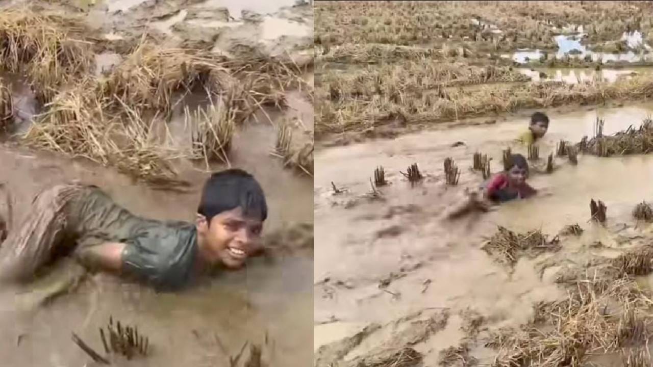 Video: ಕೆಸರು ಗದ್ದೆಯಲ್ಲಿ ಈಜಾಡುತ್ತಿರುವ ಪುಟಾಣಿಗಳು; ವೈರಲ್‌ ಆಯ್ತು ದೃಶ್ಯ