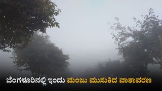 Metro Yellow Line: ನಮ್ಮ ಮೆಟ್ರೋ ಯೆಲ್ಲೋ ಲೈನ್​ನಲ್ಲಿ ಸಂಚಾರ ವ್ಯತ್ಯಯ
