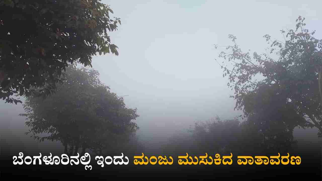 Karnataka Weather Today: ರಾಜ್ಯದ ಹಲವು ಜಿಲ್ಲೆಗಳಲ್ಲಿ ಸಾಧಾರಣ ಮಳೆಯಾಗುವ ಸಾಧ್ಯತೆ; ಹವಾಮಾನ ಇಲಾಖೆ ವರದಿ