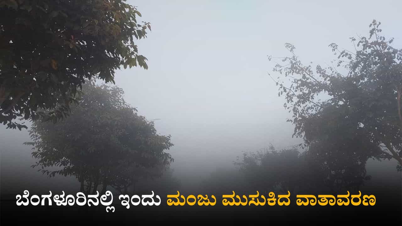 Karnataka Weather Today: ರಾಜ್ಯದ ಹಲವು ಜಿಲ್ಲೆಗಳಲ್ಲಿ ಸಾಧಾರಣ ಮಳೆಯಾಗುವ ಸಾಧ್ಯತೆ; ಹವಾಮಾನ ಇಲಾಖೆ ವರದಿ Karnataka Weather Today: ರಾಜ್ಯದ ಹಲವು ಜಿಲ್ಲೆಗಳಲ್ಲಿ ಸಾಧಾರಣ ಮಳೆಯಾಗುವ ಸಾಧ್ಯತೆ; ಹವಾಮಾನ ಇಲಾಖೆ ವರದಿ