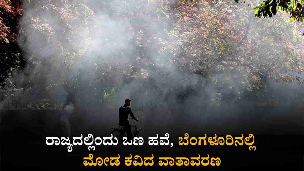 Karnataka Weather Today: ರಾಜ್ಯದಲ್ಲಿ ಮುಂದುವರೆದ ಒಣ ಹವೆಯ ವಾತಾವರಣ