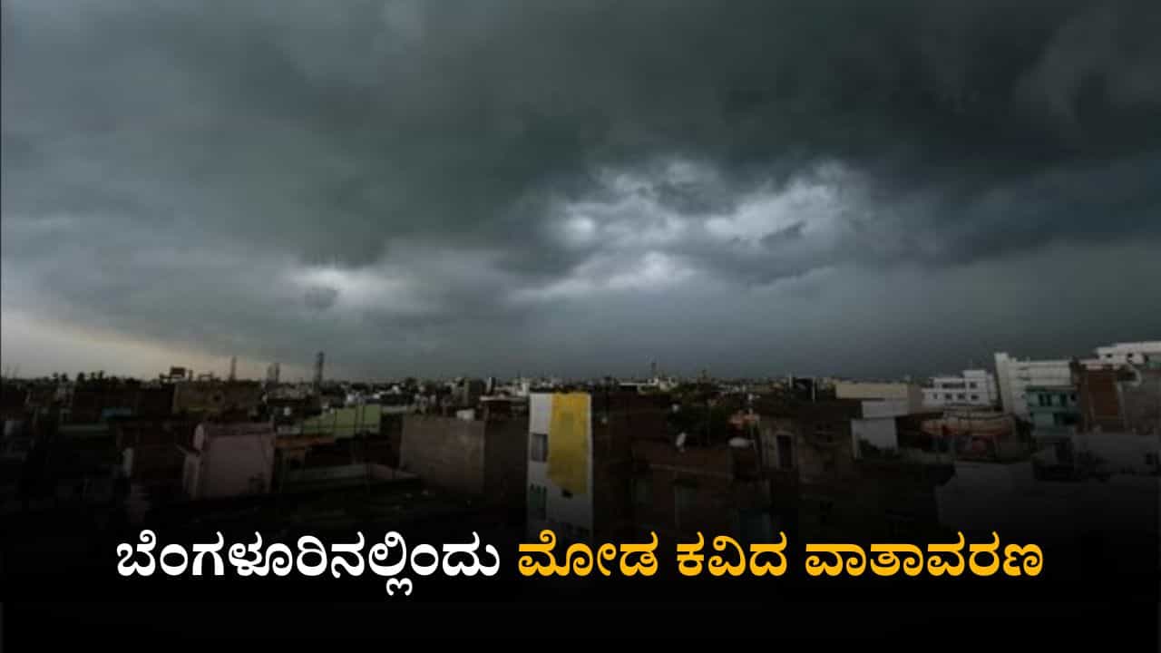 Karnataka Weather Today: ರಾಜ್ಯದೆಲ್ಲೆಡೆ ಒಣ ಹವೆ; ಬೆಂಗಳೂರಿನಲ್ಲಿ ಮೋಡ ಕವಿದ ವಾತಾವರಣ Karnataka Weather Today: ರಾಜ್ಯದೆಲ್ಲೆಡೆ ಒಣ ಹವೆ; ಬೆಂಗಳೂರಿನಲ್ಲಿ ಮೋಡ ಕವಿದ ವಾತಾವರಣ