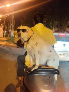 ಫುಲ್​​​ ಜಾಲಿ.. ಜಾಲಿ ರೈಡ್