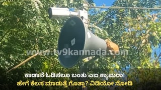 ಕಾಡಾನೆ ಓಡಿಸಲೂ ಬಂತು ಎಐ ಕ್ಯಾಮರಾ! ನಾಗರಹೊಳೆ ಕಾಡಂಚಿನಲ್ಲಿ ವಿನೂತನ ಪ್ರಯೋಗ, ವಿಚಿತ್ರ ಸದ್ದು ಕೇಳಿ ಓಡಿಹೋಗ್ತಿವೆ ಗಜಪಡೆ