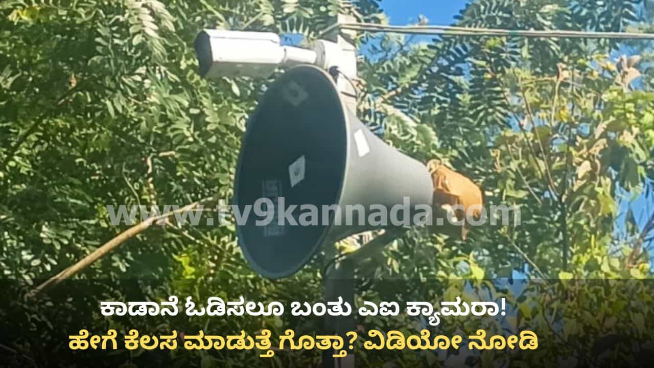 ಕಾಡಾನೆ ಓಡಿಸಲೂ ಬಂತು ಎಐ ಕ್ಯಾಮರಾ! ನಾಗರಹೊಳೆ ಕಾಡಂಚಿನಲ್ಲಿ ವಿನೂತನ ಪ್ರಯೋಗ, ವಿಚಿತ್ರ ಸದ್ದು ಕೇಳಿ ಓಡಿಹೋಗ್ತಿವೆ ಗಜಪಡೆ ಕಾಡಾನೆ ಓಡಿಸಲೂ ಬಂತು ಎಐ ಕ್ಯಾಮರಾ! ನಾಗರಹೊಳೆ ಕಾಡಂಚಿನಲ್ಲಿ ವಿನೂತನ ಪ್ರಯೋಗ, ವಿಚಿತ್ರ ಸದ್ದು ಕೇಳಿ ಓಡಿಹೋಗ್ತಿವೆ ಗಜಪಡೆ