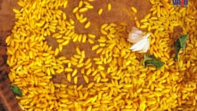 ಕನಸಿನಲ್ಲಿ ಅಕ್ಷತೆ ಕಾಣಿಸಿಕೊಂಡರೆ ಅದು ಶುಭ ಫಲವೇನು?