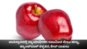 ಪಾಕಿಸ್ತಾನದ ನ್ಯಾಯಾಧೀಶರ ರೂಂನಿಂದ ಸೇಬು ಹಣ್ಣು, ಹ್ಯಾಂಡ್​​ವಾಶ್ ಕಳ್ಳತನ