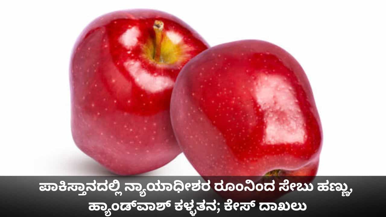 ಪಾಕಿಸ್ತಾನದಲ್ಲಿ ನ್ಯಾಯಾಧೀಶರ ರೂಂನಿಂದ ಸೇಬು ಹಣ್ಣು, ಹ್ಯಾಂಡ್ವಾಶ್ ಕಳ್ಳತನ; ಕೇಸ್ ದಾಖಲು ಪಾಕಿಸ್ತಾನದಲ್ಲಿ ನ್ಯಾಯಾಧೀಶರ ರೂಂನಿಂದ ಸೇಬು ಹಣ್ಣು, ಹ್ಯಾಂಡ್ವಾಶ್ ಕಳ್ಳತನ; ಕೇಸ್ ದಾಖಲು