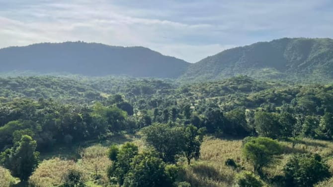 ಸಂಪೂರ್ಣ ಅರಾವಳಿ ರಕ್ಷಣೆಗೆ ಬದ್ಧ: ಸರ್ಕಾರ ಭರವಸೆ