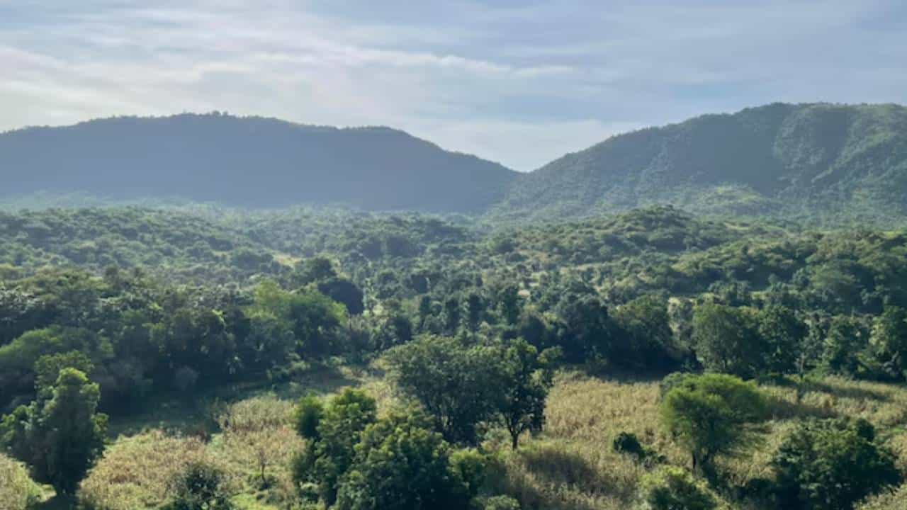 ಪೂರ್ಣ ಅರಾವಳಿ ರಕ್ಷಣೆ; ಹೊಸ ಮೈನಿಂಗ್ ಲೀಸ್ ಇಲ್ಲ: ಕೇಂದ್ರ ನಿರ್ಧಾರ ಮತ್ತು ಭರವಸೆ