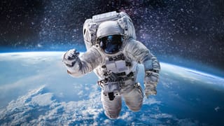 Optical Illusion: ಈ ಚಿತ್ರದಲ್ಲಿರುವ ಅಣಬೆಯನ್ನು 30 ಸೆಕೆಂಡುಗಳಲ್ಲಿ ಗುರುತಿಸಬಲ್ಲಿರಾ