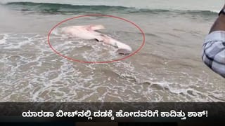 ಯಾರಡಾ ಬೀಚ್​​ನಲ್ಲಿ ದಡಕ್ಕೆ ಹೋದವರಿಗೆ ಕಾದಿತ್ತು ಶಾಕ್!