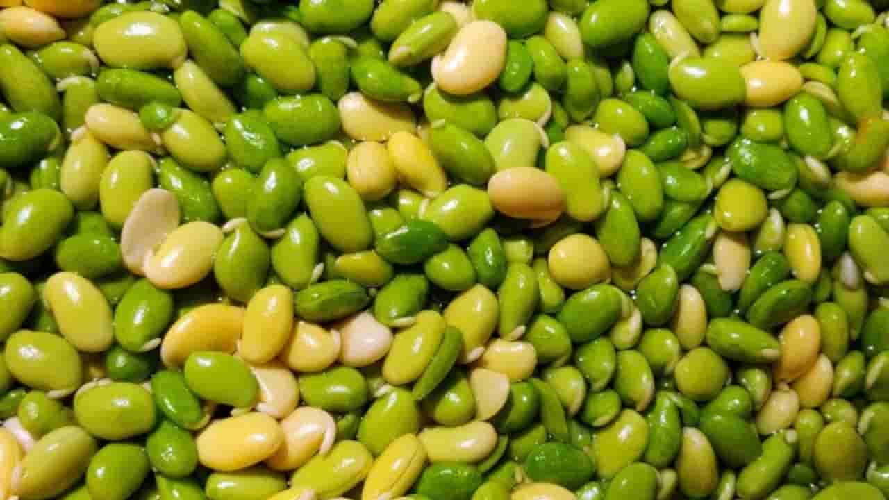 ಆಗಸ್ಟ್​​​​ ಮಳೆಯಿಂದ ರೈತರಿಗೆ ಸಂಕಷ್ಟ: ಚಳಿಗಾಲದಲ್ಲಿ ಬೆಂಗಳೂರಿಗರಿಗೆ ಶಾಕ್​​​ ಕೊಟ್ಟ ಅವರೆಕಾಯಿ