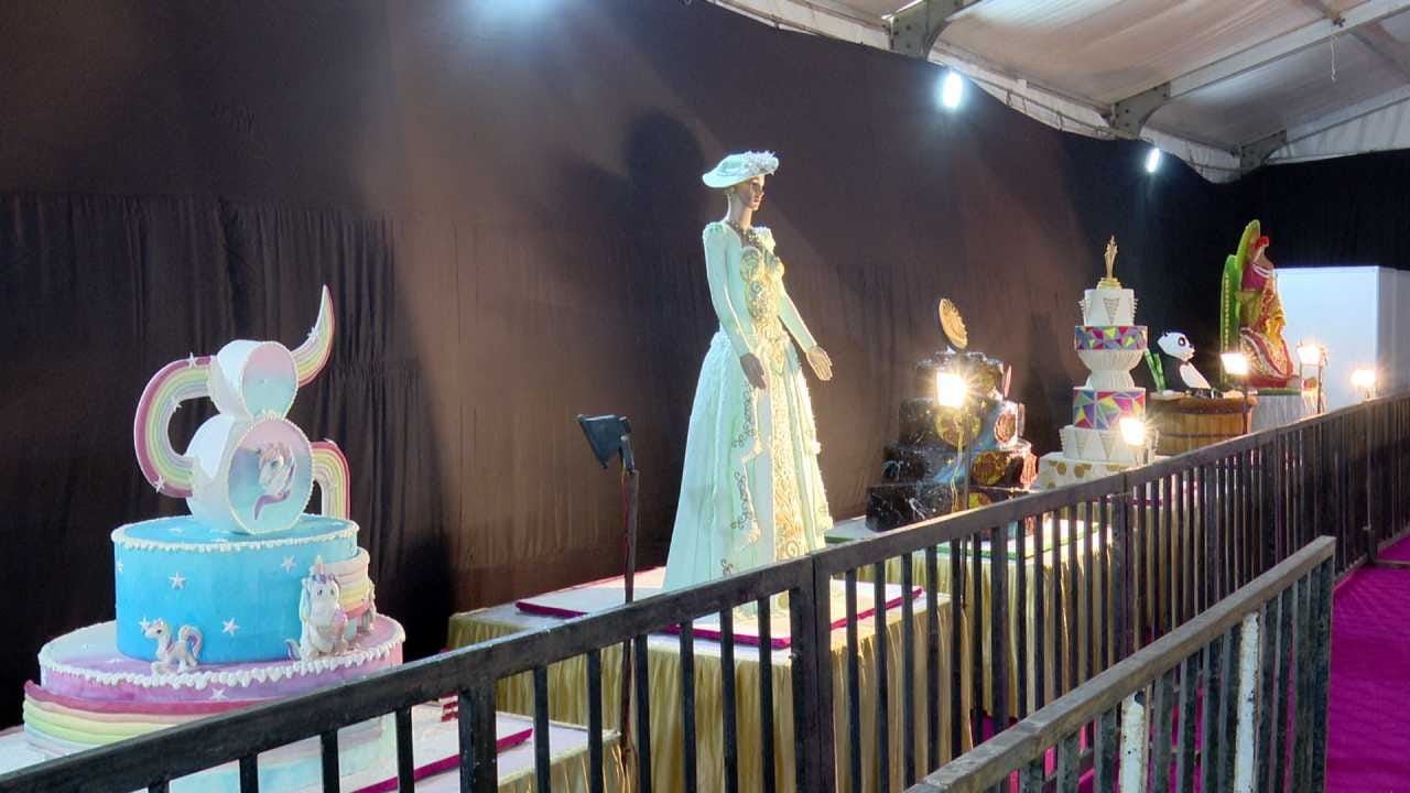 ಸಾಮಾನ್ಯವಾಗಿ ಕೇಕ್ ಶೋ ಎಂದಕೂಡಲೆ ಕ್ರಿಸ್ಮಸ್ ನೆನಪಾಗುತ್ತೆ. ಆದರೆ ಕ್ರಿಸ್ಮಸ್ಗೂ ಮುಂಚೆಯೇ ಅರಮನೆ ಮೈದಾನದಲ್ಲಿ 51ನೇ ವಾರ್ಷಿಕ ಕೇಕ್ ಶೋ ಆಯೋಜಿಸಲಾಗಿದೆ. ಬೆಳಿಗ್ಗೆ 10 ಗಂಟೆಯಿಂದ ರಾತ್ರಿ 9ಗಂಟೆಯವರೆಗೆ ಉಚಿತ ಪ್ರದರ್ಶನವಿರಲಿದೆ. ಶೆಫ್ ಗಳ ಕೈಚಳಕದಲ್ಲಿ ತರಹೇವಾರಿ ಕೇಕ್ ಗಳು ಮೂಡಿ ಬಂದಿದ್ದು, 25 ಕ್ಕೂ ಹೆಚ್ಚಿನ ಕೇಕ್ಗಳು ಜನರ ಕಣ್ಮನ ಸೆಳೆದವು.