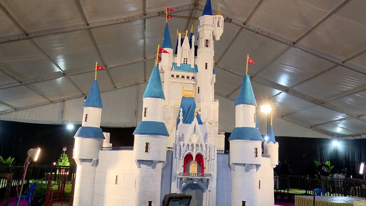 ಕ್ರಿಸ್ ಮಸ್ ಹಾಗೂ ಹೊಸ ವರ್ಷ ಹಿನ್ನಲೆ ರಾಜಧಾನಿಯಲ್ಲಿ ಕೇಕ್ ಉತ್ಸವ ನಡೆಯುತ್ತಿದ್ದು, ಕೇಕ್ ನಲ್ಲಿ ಅರಳಿದ 18 ಅಡಿ ಎತ್ತರದ ರಾಯಲ್ ಡ್ರೀಮ್ ಕ್ಯಾಸಲ್, ಸೇಕ್ರೆಡ್ ಸೀ ಬಾಸಿಲಿಕಾ ವೇಳಾಂಕಣ ಚರ್ಚ್ ಹಾಗೂ ಬಗೆ ಬಗೆಯ ಕೇಕ್ ಪ್ರದರ್ಶನ ಮಾಡಲಾಗಿದೆ. ಅರಮನೆ ಮೈದಾನ ತ್ರಿಪುರ ವಾಸಿನಿಯಲ್ಲಿ ಇಂದಿನಿಂದ ಎರಡು ದಿನಗಳ ಕೇಕ್ ಶೋ ಆಯೋಜಿಸಲಾಗಿದೆ.