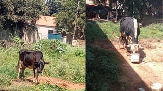 ಚಿತ್ರದುರ್ಗ ಬಸ್ ದುರಂತದ ಬಳಿಕವೂ ಎಚ್ಚೆತ್ತುಕೊಳ್ಳದ RTO: ಎಗ್ಗಿಲ್ಲದೆ ಬಸ್​​ಗಳಲ್ಲಿ ಗೂಡ್ಸ್  ಸಾಗಾಟ