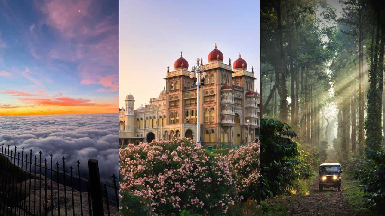 Bengaluru Road Trips: ಬೆಂಗಳೂರಿನಿಂದ ರೋಡ್ ಟ್ರಿಪ್ ಹೋಗಲು ಯೋಚಿಸುತ್ತಿದ್ದೀರಾ? ಉಪಯುಕ್ತ ಮಾಹಿತಿ ಇಲ್ಲಿದೆ Bengaluru Road Trips: ಬೆಂಗಳೂರಿನಿಂದ ರೋಡ್ ಟ್ರಿಪ್ ಹೋಗಲು ಯೋಚಿಸುತ್ತಿದ್ದೀರಾ? ಉಪಯುಕ್ತ ಮಾಹಿತಿ ಇಲ್ಲಿದೆ