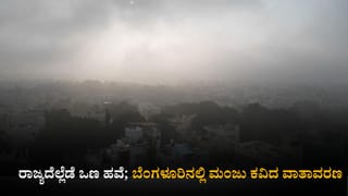 Bengaluru Air Quality: ಬೆಂಗಳೂರಿನಲ್ಲಿ ಉಸಿರಾಟಕ್ಕೆ ಕುತ್ತು ಗಾಳಿಯಲ್ಲಿರುವ ಈ ಅಗೋಚರ ಕಣಗಳು!