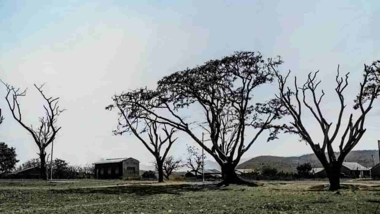 ಕರ್ನಾಟಕ ಹವಾಮಾನ ವರದಿ: ರಾಜ್ಯದಲ್ಲಿ ಇನ್ನೂ ಮೂರು ದಿನ ಒಣ ಹವೆ, ಬೆಂಗಳೂರಿನಲ್ಲಿ ಶೀತದಬ್ಬರ