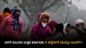 ಚಳಿಗೆ ನಲುಗಿದ ಉತ್ತರ ಕರ್ನಾಟಕ; 5 ಜಿಲ್ಲೆಗಳಿಗೆ ಯೆಲ್ಲೋ ಅಲರ್ಟ್​!