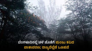 ತಿರುಪತಿಗೆ ಸಚಿವ ರಾಮಲಿಂಗಾರೆಡ್ಡಿ ಭೇಟಿ: ಅಭಿವೃದ್ಧಿ ಕಾಮಗಾರಿ ಪರಿಶೀಲನೆ